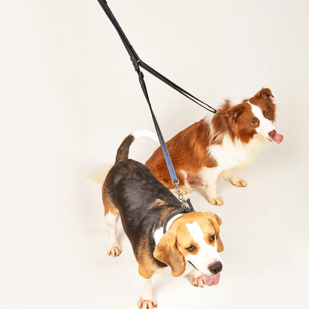 PUPSTRIDE HANDS-FREE LEASH